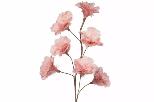 Kvist Fjäderblomma Gammelrosa 100cm 8 st. Förbeställning
