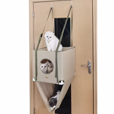Katt Hammock Hus