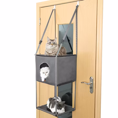 Katt Hammock Oxford