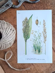 Vintage florablad