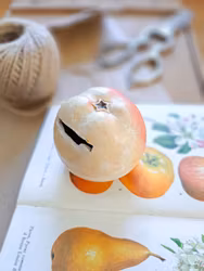 Vintage sparbössa, Äpple