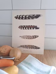 Poster Fjädrar R E A