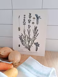Poster Lavendel R E A