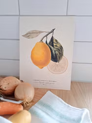 Poster Citron R E A