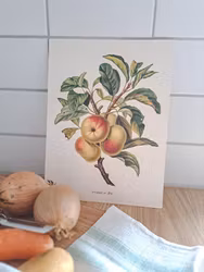 Poster Äpple R E A