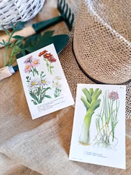 Vintage botaniska blad Trädgård, 2 styck