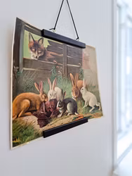 Plansch, Rare bits illustration av August Müller