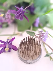 Blomsterfakir