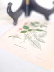 Färglitografiskt blad, Hallon