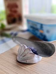 Knivlägg Snäcka