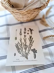 Tryck Lavendel R E A