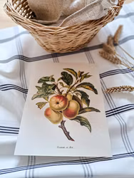 Tryck Äpple R E A