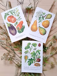 Botaniska blad, 3 styck