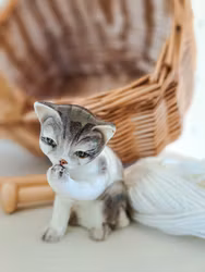 Figurin Kattunge