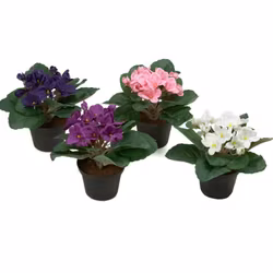 Konstgjord St. Paula Blå