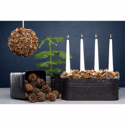 Tallkotte Vit topp stick 6-pack