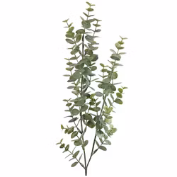 Eucalyptus småbladig