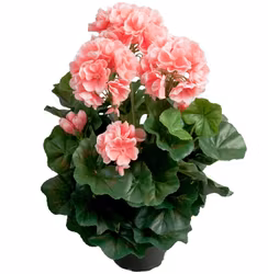 Konstgjord Pelargon Laxrosa