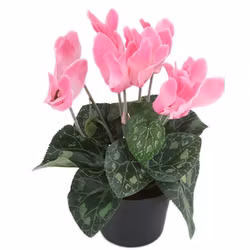 Konstgjord Cyklamen 20cm Rosa