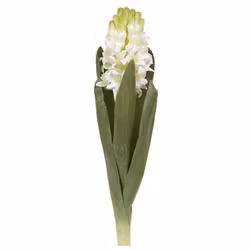 Konstgjord Hyacint stor