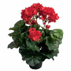 Konstgjord Pelargon Röd