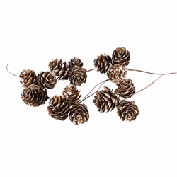 Lärkottar vit topp med tråd, 5-pack