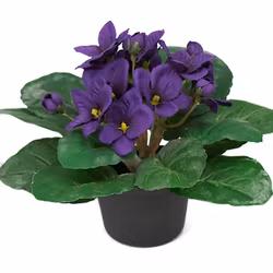 Konstgjord St. Paula Blå