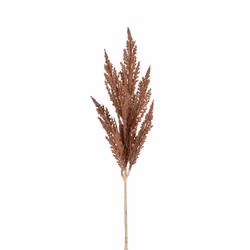 Pampasgräs Beige 80cm, konstgjort