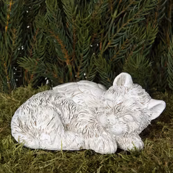 Kattängel, lurvig päls