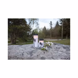 LED gravljus, maskros litet