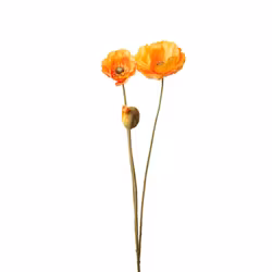 Konstgjord Vallmo, orange 75 cm