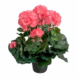 Konstgjord Pelargon Rosa