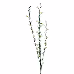 Konstgjord Ginst vit