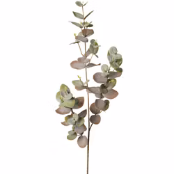 Eucalyptus grön, 70cm