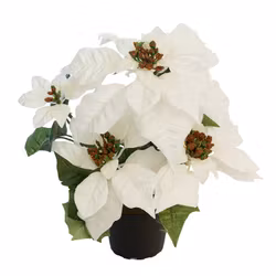 Julstjärna Vit 35cm