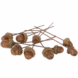 Ekollon stick 10-pack