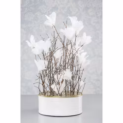 Fjäderblommor vita (Frakt 10.00)