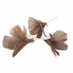 Fjäderblommor mullvad (Frakt 10.00)