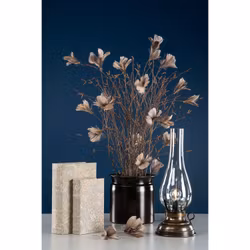 Fjäderblommor mullvad (Frakt 10.00)