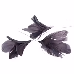 Fjäderblommor lila (Frakt 10.00)