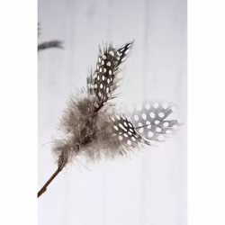 Fjädrar av pärlhöns (Frakt 10.00)