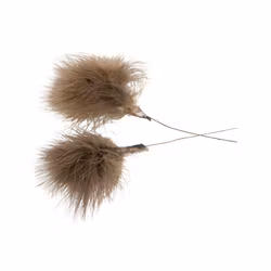 Fjädrar Pudervippa mullvad (Frakt 10.00)