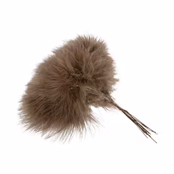 Fjädrar Pudervippa mullvad (Frakt 10.00)