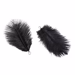 Fjädrar Soft Hänge Svart (Frakt 10.00)
