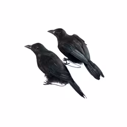 Korp i två varianter