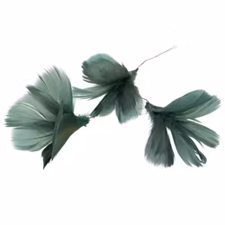 Fjäderblommor mörk grönblå (Frakt 10.00)