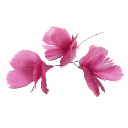 Fjäderblommor Cerise (Frakt 10.00)