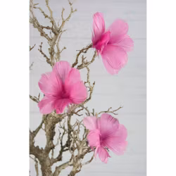 Fjäderblommor Cerise (Frakt 10.00)