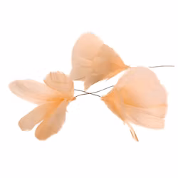 Fjäderblommor ljus Aprikos (Frakt 10.00)