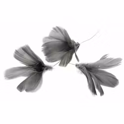 Fjäderblommor Mörkgrå (Frakt 10.00)